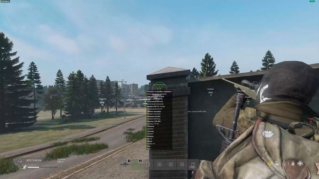 приватный чит dayz